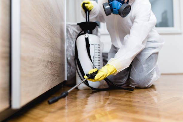 Best Pest Control for Restaurants  in Orange Blossom, CA