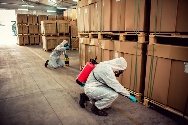 Best Affordable Pest Control Services  in Orange Blossom, CA