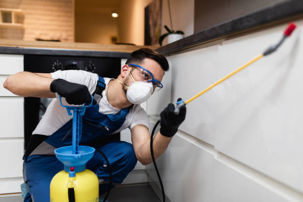 Best Emergency Pest Control  in Orange Blossom, CA