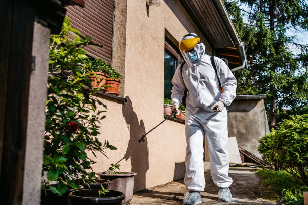Best Wasp Removal Services  in Orange Blossom, CA