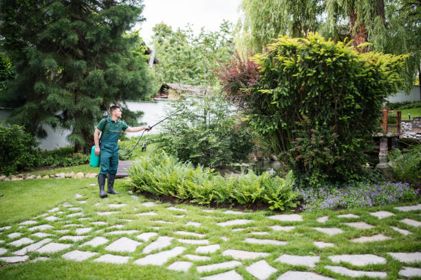 Best Commercial Pest Control Services  in Orange Blossom, CA