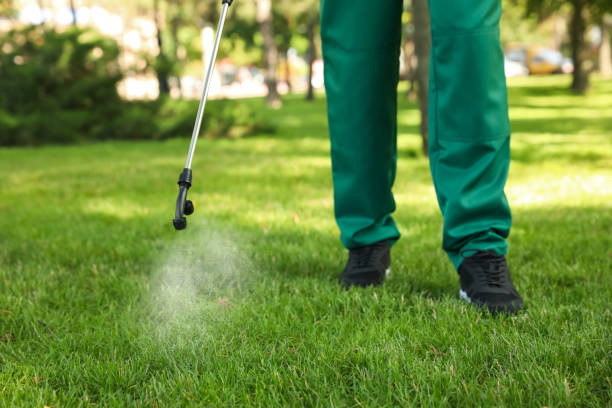 Best Pest Control Near Me  in Orange Blossom, CA