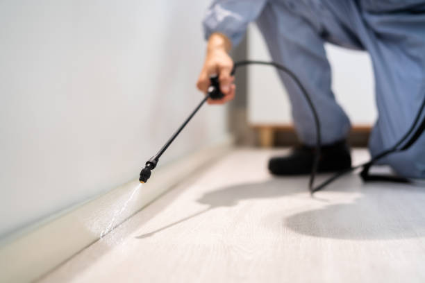 Professional Pest Control in Orange Blossom, CA