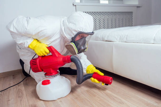 Best Cockroach Control Services  in Orange Blossom, CA