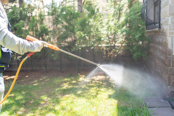 Pest Control for Restaurants in Orange Blossom, CA