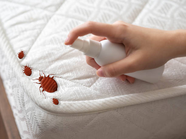 Best Best Pest Control Companies  in Orange Blossom, CA