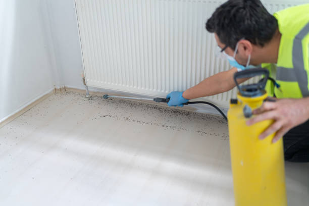Best Affordable Pest Control Services  in Orange Blossom, CA