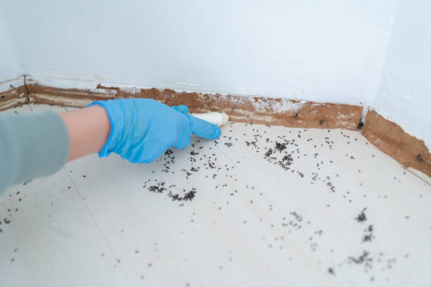 Best Wildlife Control Services  in Orange Blossom, CA