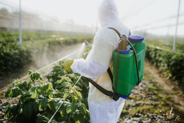 Best Cockroach Control Services  in Orange Blossom, CA